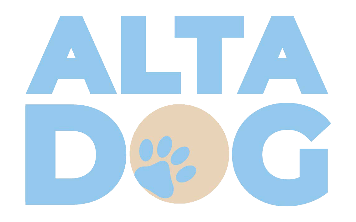 Éducateur et comportementaliste canin dans l&#039;Aube - ALTA DOG
